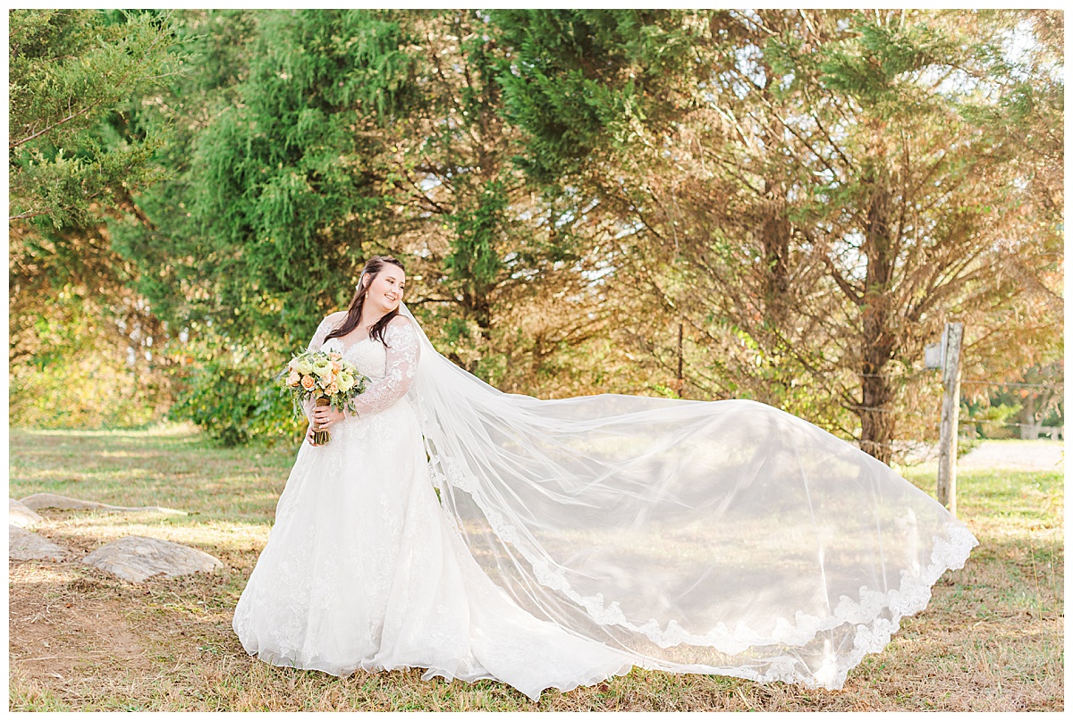 how to choose a veil ivy breanne photography